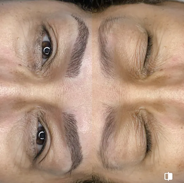 Natural Results — Bold Brows